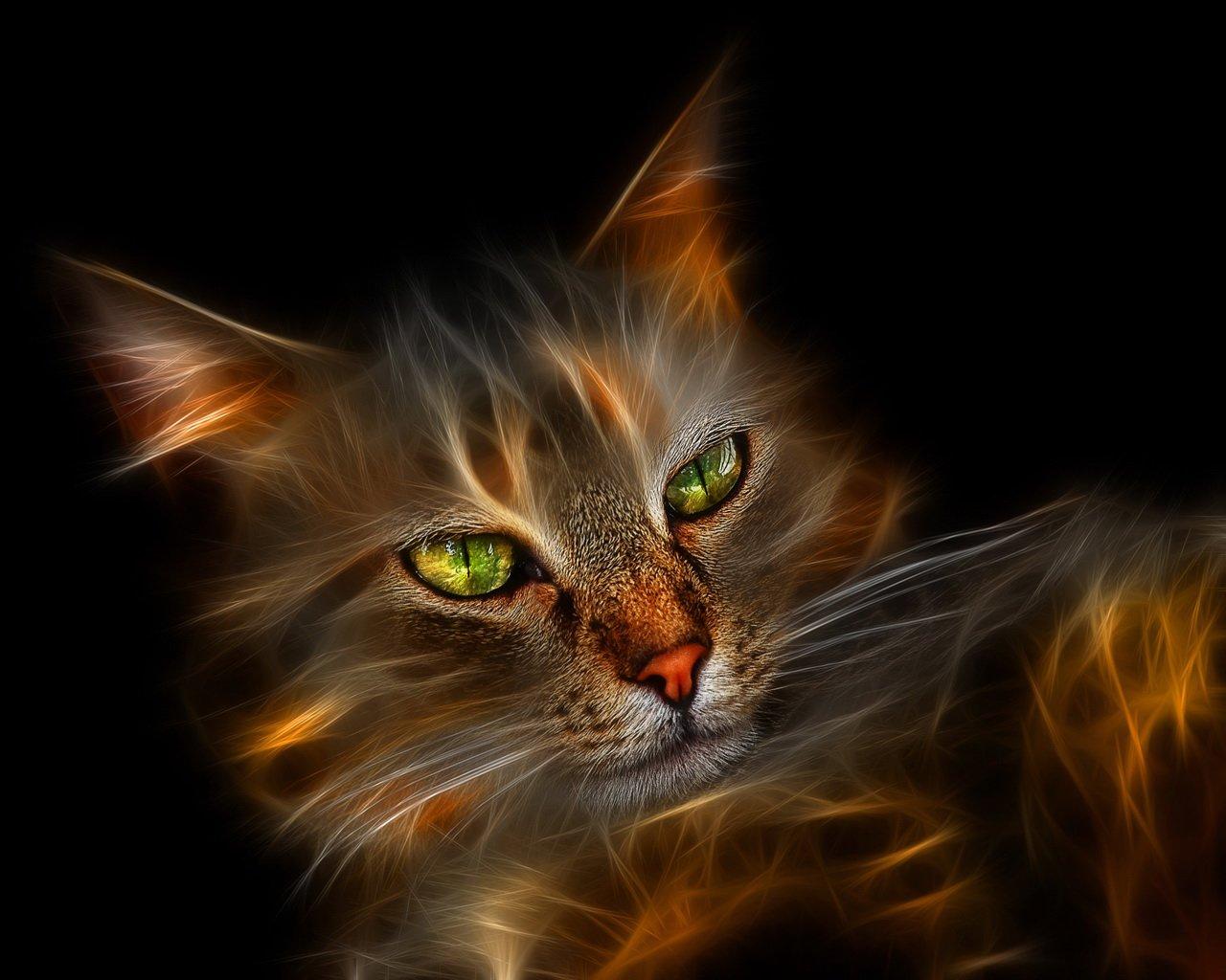 fonds-ecran-chats-page-2